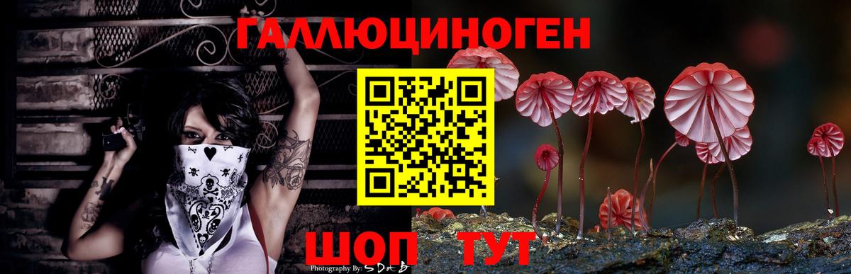 Галлюциногенные грибы мицелий Красноярск