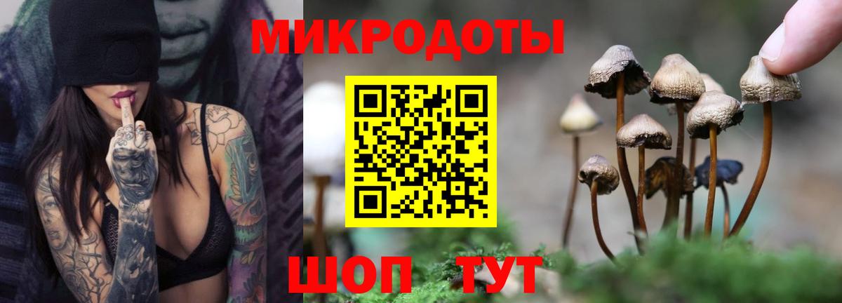 Псилоцибиновые грибы GOLDEN TEACHER  Галлюциногенные грибы мицелий  Красноярск  Вход с VPN 
